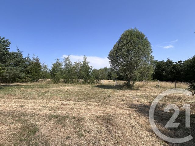 maison à vendre - 5 pièces - 127.26 m2 - NEUILLAY LES BOIS - 36 - CENTRE - Century 21 Adressimmo