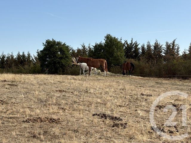 maison à vendre - 2 pièces - 60.0 m2 - BUXIERES D AILLAC - 36 - CENTRE - Century 21 Adressimmo