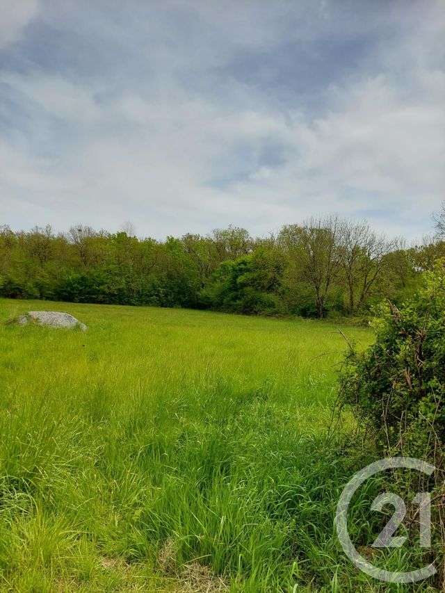 terrain à vendre - 9522.0 m2 - NEUILLAY LES BOIS - 36 - CENTRE - Century 21 Adressimmo