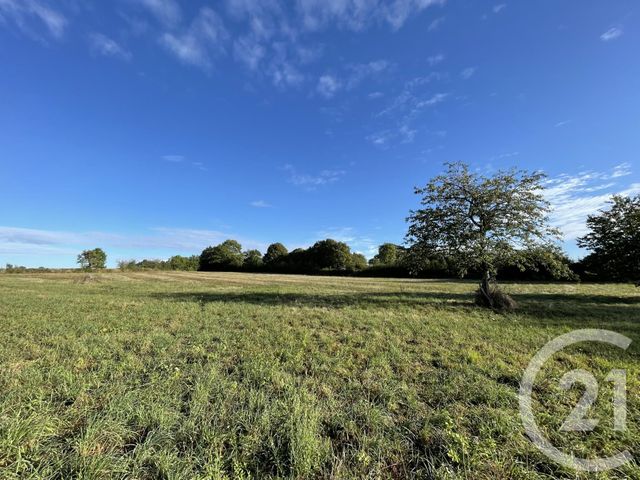 terrain à vendre - 7829.0 m2 - CLUIS - 36 - CENTRE - Century 21 Adressimmo