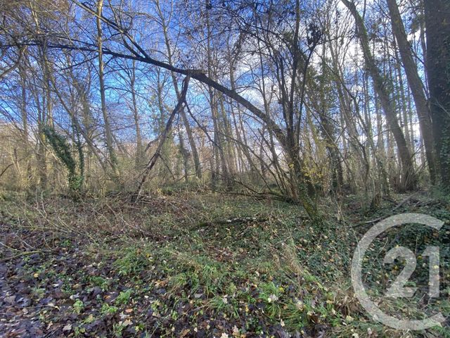 terrain à vendre - 13939.0 m2 - MARTIZAY - 36 - CENTRE - Century 21 Adressimmo