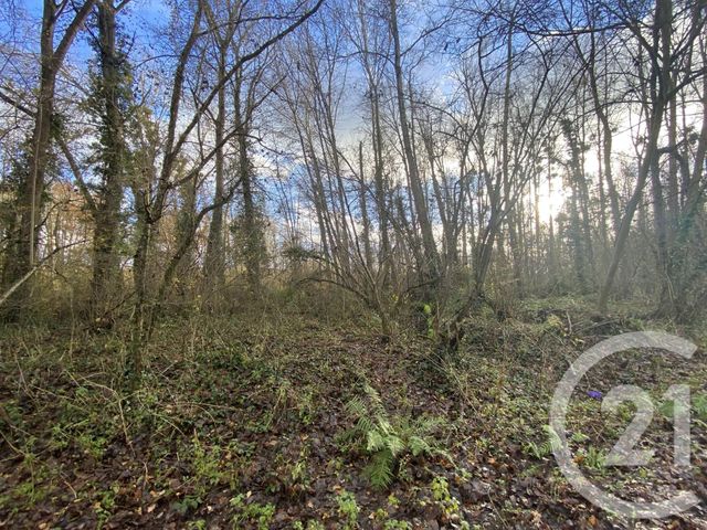 terrain à vendre - 13939.0 m2 - MARTIZAY - 36 - CENTRE - Century 21 Adressimmo