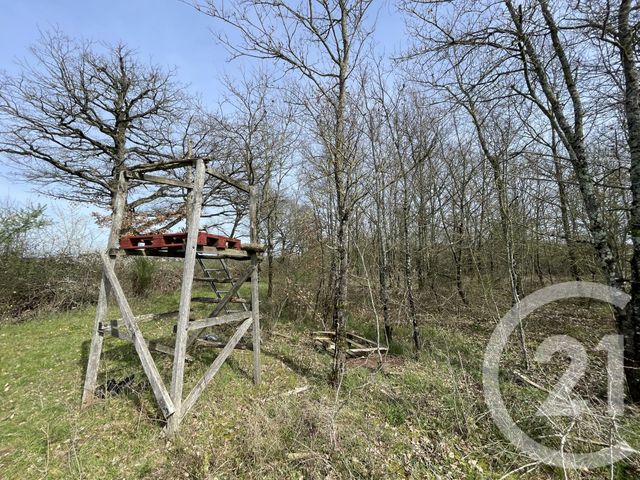 terrain à vendre - 133930.0 m2 - TENDU - 36 - CENTRE - Century 21 Adressimmo