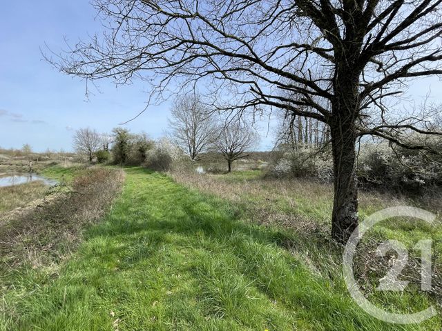 terrain à vendre - 133930.0 m2 - TENDU - 36 - CENTRE - Century 21 Adressimmo