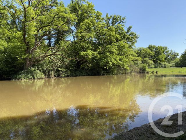 maison à vendre - 4 pièces - 111.0 m2 - NEUVY ST SEPULCHRE - 36 - CENTRE - Century 21 Adressimmo