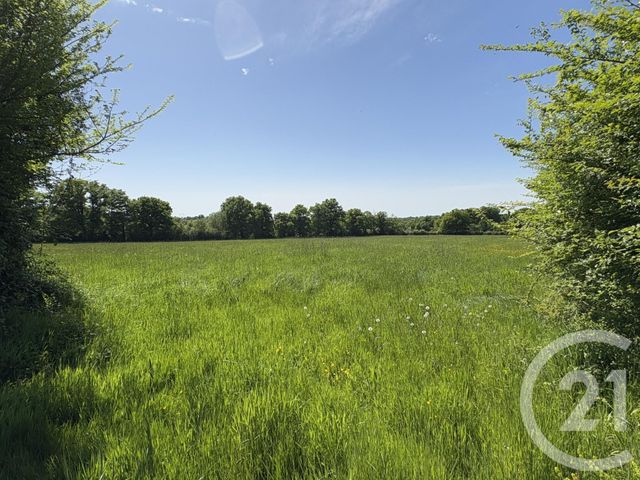 maison à vendre - 4 pièces - 111.0 m2 - NEUVY ST SEPULCHRE - 36 - CENTRE - Century 21 Adressimmo