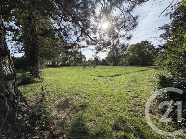 terrain à vendre - 5495.0 m2 - MOSNAY - 36 - CENTRE - Century 21 Adressimmo