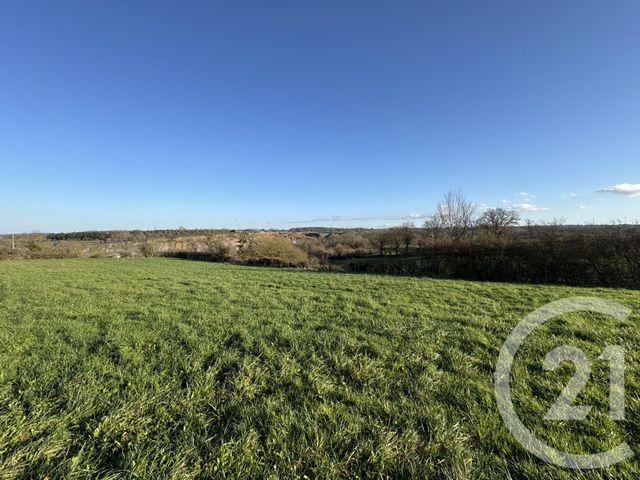 terrain à vendre - 6135.0 m2 - CLUIS - 36 - CENTRE - Century 21 Adressimmo