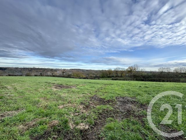 terrain à vendre - 6135.0 m2 - CLUIS - 36 - CENTRE - Century 21 Adressimmo