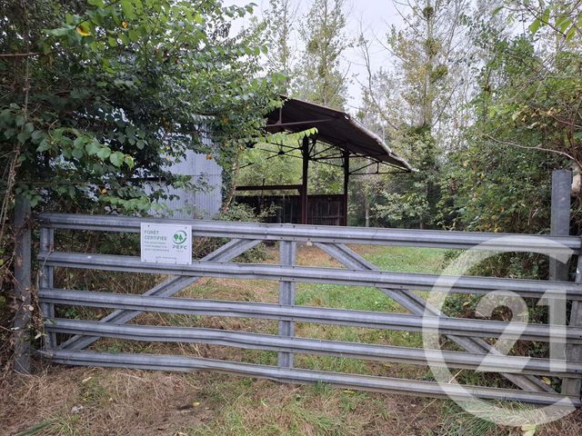 maison à vendre - 14 pièces - 256.0 m2 - GARGILESSE DAMPIERRE - 36 - CENTRE - Century 21 Adressimmo