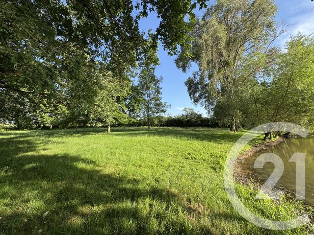 terrain à vendre - 9180.0 m2 - MOUHERS - 36 - CENTRE - Century 21 Adressimmo