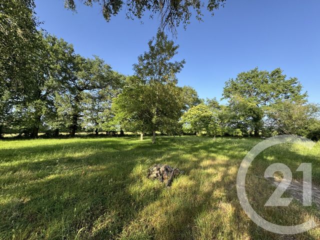 terrain à vendre - 9180.0 m2 - MOUHERS - 36 - CENTRE - Century 21 Adressimmo