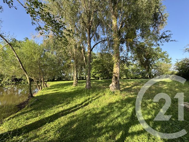 terrain à vendre - 9180.0 m2 - MOUHERS - 36 - CENTRE - Century 21 Adressimmo