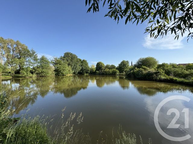 terrain à vendre - 9180.0 m2 - MOUHERS - 36 - CENTRE - Century 21 Adressimmo