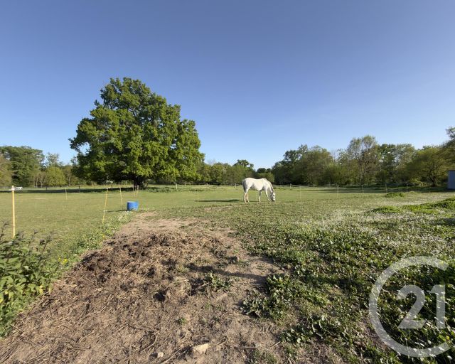 maison à vendre - 6 pièces - 140.0 m2 - ARTHON - 36 - CENTRE - Century 21 Adressimmo