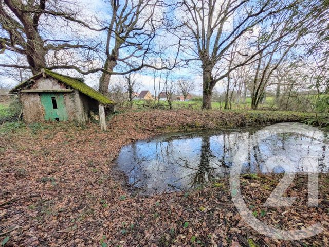 maison à vendre - 5 pièces - 117.19 m2 - PRISSAC - 36 - CENTRE - Century 21 Adressimmo