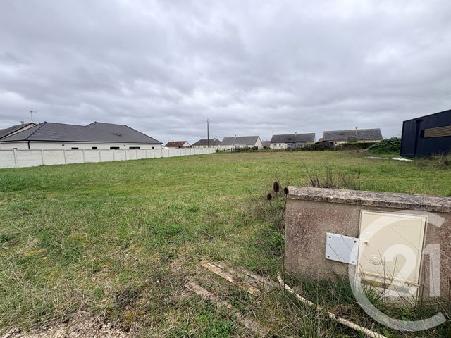 terrain à vendre - 1390.0 m2 - BRION - 36 - CENTRE - Century 21 Adressimmo